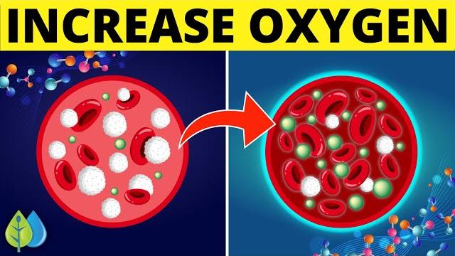 9 ways to increase blood oxygen levels naturally | how to increase oxygen level in body 9 ways to increase blood oxygen levels naturally | how to increase oxygen level in body