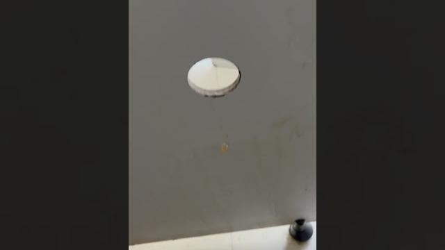 拦江路鸟洞开箱预告 拦江路鸟洞开箱预告