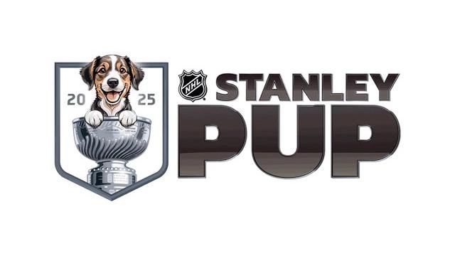 2025 stanley pup! more dogs , nhl players , celebrities ⭐️! 2025 stanley pup! more dogs , nhl players , celebrities ⭐️!