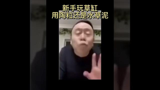 草缸开缸视频,陶粒还是水草泥呢? 草缸开缸视频,陶粒还是水草泥呢?