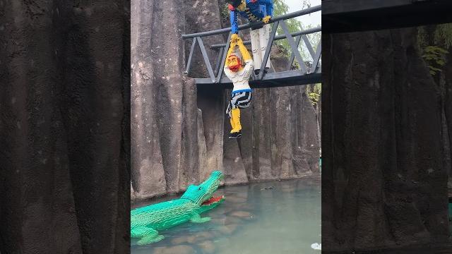 Lego crocodiles and a real alligator #shortswithcamilla #lego #shorts #alligator #crocodile Lego crocodiles and a real alligator #shortswithcamilla #lego #shorts #alligator #crocodile
