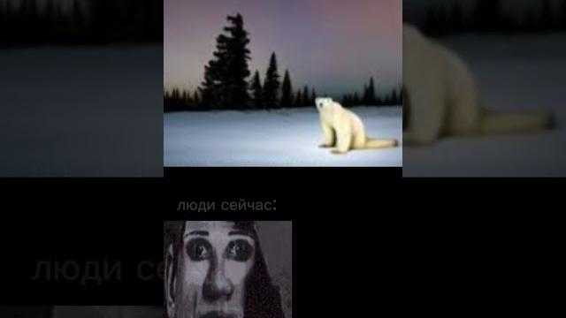 Мы слишком тупые чтобы понять это️ #meme #мем #смешно #эдит #edit #медведь #2026 #рек #рекомендации Мы слишком тупые чтобы понять это️ #meme #мем #смешно #эдит #edit #медведь #2026 #рек #рекомендации