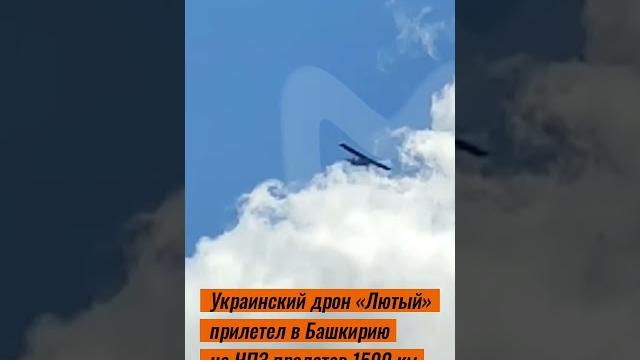 Украинский дрон «лютый» прилетел в башкирию на нпз Украинский дрон «лютый» прилетел в башкирию на нпз