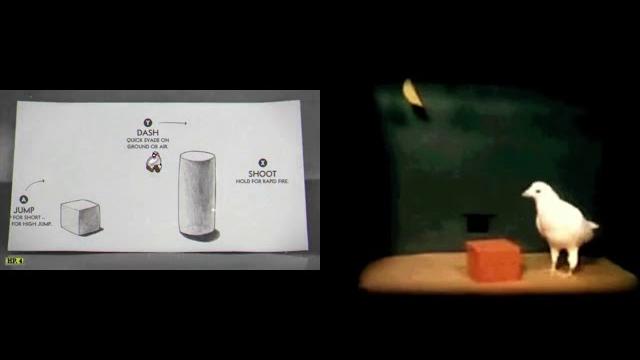 Dean's shameful cuphead demo vs pigeon intelligence test Dean's shameful cuphead demo vs pigeon intelligence test