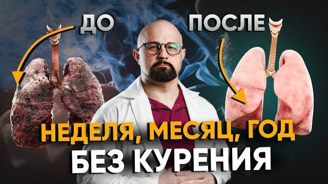 Что будет, если резко бросить курить? неделя, месяц, год без сигарет. как бросить курить? Что будет, если резко бросить курить? неделя, месяц, год без сигарет. как бросить курить?