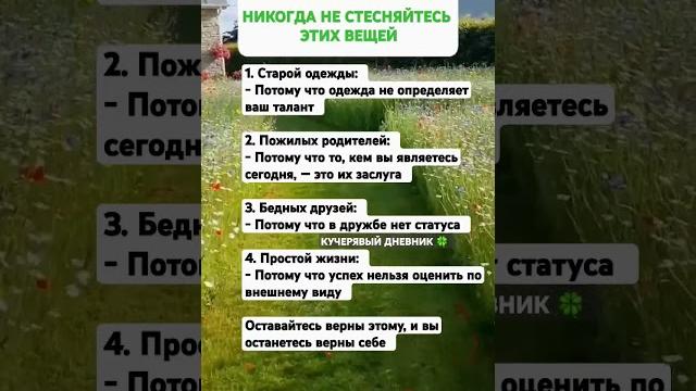 15 февраля 2025 г. 15 февраля 2025 г.