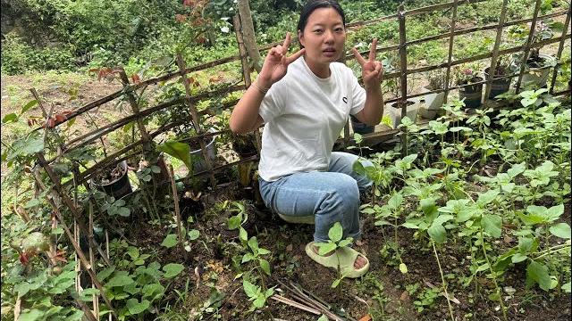 养花 养出经验了 养花 养出经验了