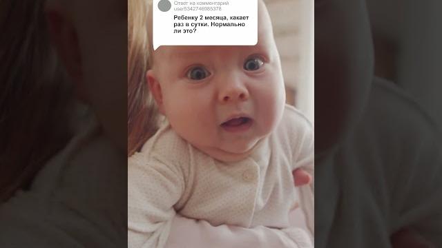 Какает один раз в день Какает один раз в день