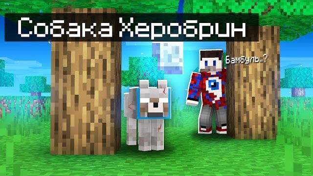 Моя собака стала 100% херобрином в майнкрафт! Моя собака стала 100% херобрином в майнкрафт!