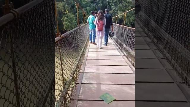 Hanging bridge at nisargadhama #kushalnagar #coorgdiaries #kodagu #karnataka #ytviral #ytshorts Hanging bridge at nisargadhama #kushalnagar #coorgdiaries #kodagu #karnataka #ytviral #ytshorts