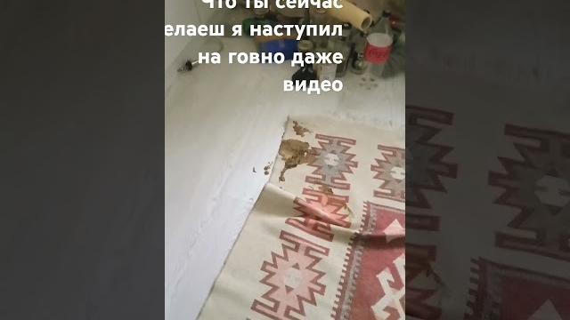 Хз что писать Хз что писать