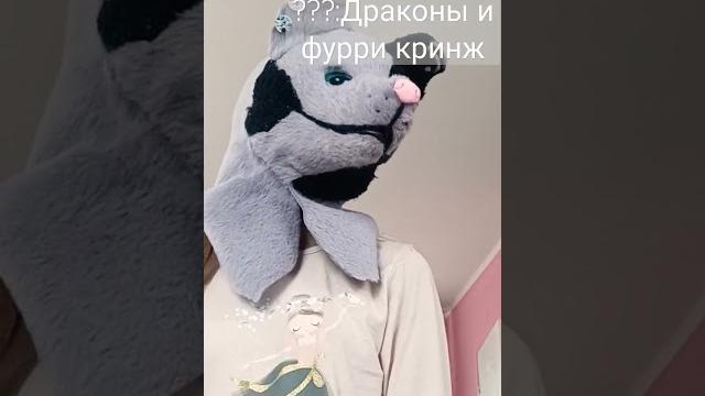 #дракон #фурри #фурсьют #дракон #фурри #фурсьют