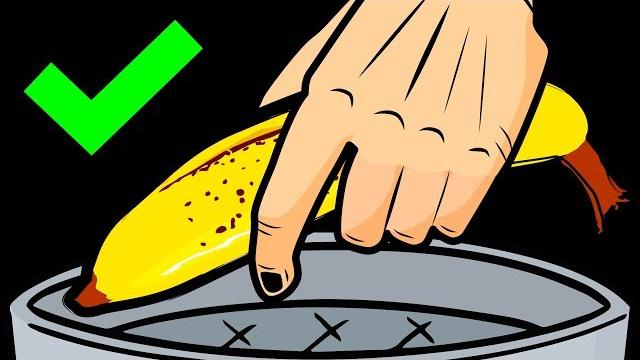 Как выжить без денег Как выжить без денег
