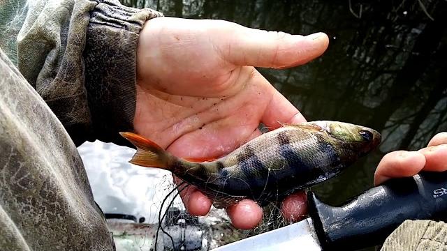 Рейд против браконьеров ниже павловского водохранилища,поймали браконьеров ,сняли сети . Рейд против браконьеров ниже павловского водохранилища,поймали браконьеров ,сняли сети .