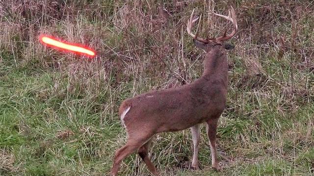 20 shots in 20 minutes! (ultimate bowhunting compilation) 20 shots in 20 minutes! (ultimate bowhunting compilation)