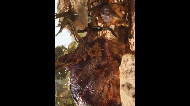Asa :triceratops battle Asa :triceratops battle