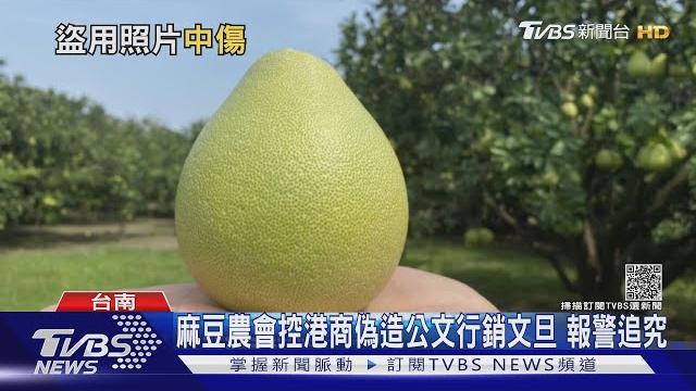 麻豆農會控港商偽造公文行銷文旦 報警追究到底|tvbs新聞 麻豆農會控港商偽造公文行銷文旦 報警追究到底|tvbs新聞