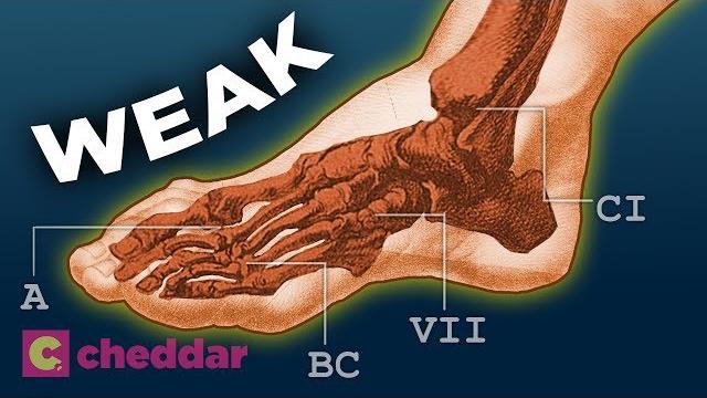 The human foot is a design disaster - cheddar explores The human foot is a design disaster - cheddar explores