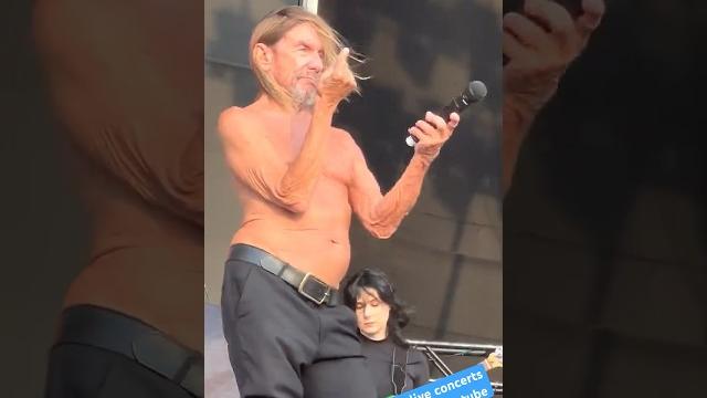 Experience the raw power of iggy pop live, opening for red hot chili peppers tour 2023 #iggypop Experience the raw power of iggy pop live, opening for red hot chili peppers tour 2023 #iggypop