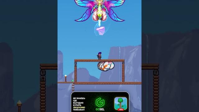 Баг с пляжными мячами #terraria #террария Баг с пляжными мячами #terraria #террария