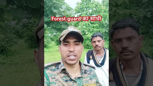 Mp forest guard ki sahayata ke liye kaun hota hai?vanrakshak ki sahayata kaun karta hai? Mp forest guard ki sahayata ke liye kaun hota hai?vanrakshak ki sahayata kaun karta hai?