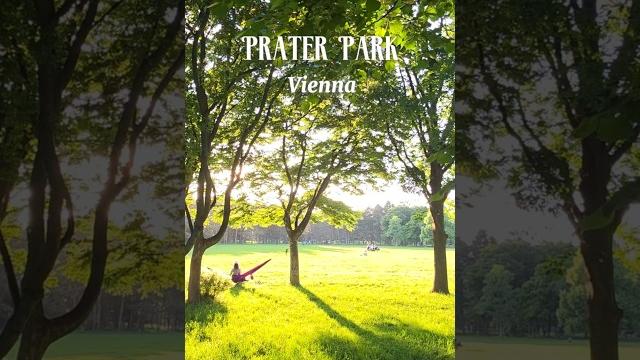 The green side of prater park locals love #praterpark #viennatravel #hiddenvienna #viennatips The green side of prater park locals love #praterpark #viennatravel #hiddenvienna #viennatips