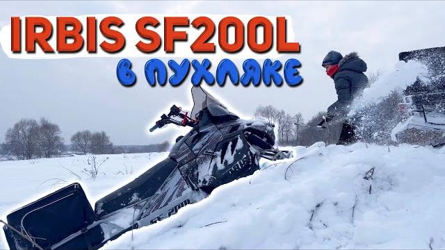 Новый ирбис сф 200 по пухляку Новый ирбис сф 200 по пухляку