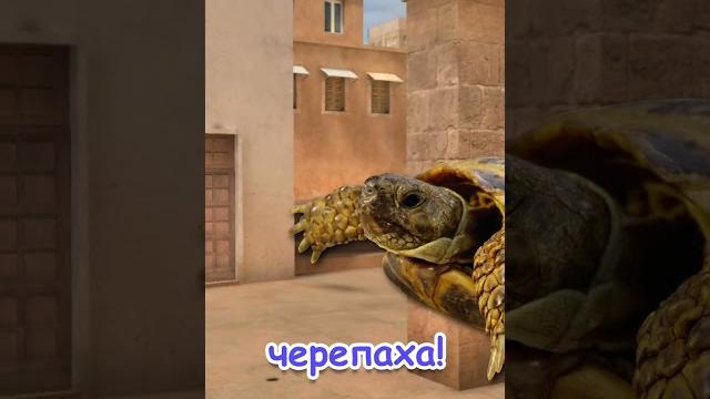 Standoff 2, но с каждым лайком и подпиской я становлюсь быстрее Standoff 2, но с каждым лайком и подпиской я становлюсь быстрее