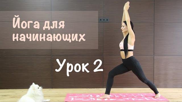 Йога для начинающих. урок 2. растяжка. Йога для начинающих. урок 2. растяжка.