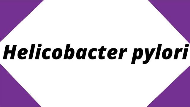 Helicobacter pylori | quick learn micro | microbiology shorts #microbiology #shorts #bacteria Helicobacter pylori | quick learn micro | microbiology shorts #microbiology #shorts #bacteria