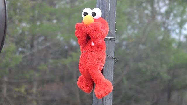 Jet this! jet engine vs tickle me elmo Jet this! jet engine vs tickle me elmo