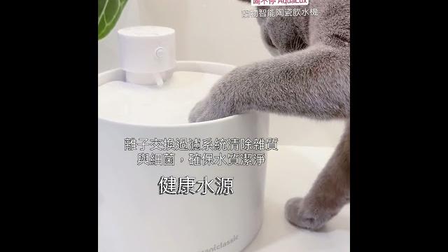 Gc喝不停寵物智能陶瓷飲水機開箱 #grantclassic #aqualux#cat#pets#water #補水#陶瓷飲水機 #寵物飲水機#藍貓 #美短 #毛孩 #貓 #橘美短 #貓貓日常 Gc喝不停寵物智能陶瓷飲水機開箱 #grantclassic #aqualux#cat#pets#water #補水#陶瓷飲水機 #寵物飲水機#藍貓 #美短 #毛孩 #貓 #橘美短 #貓貓日常