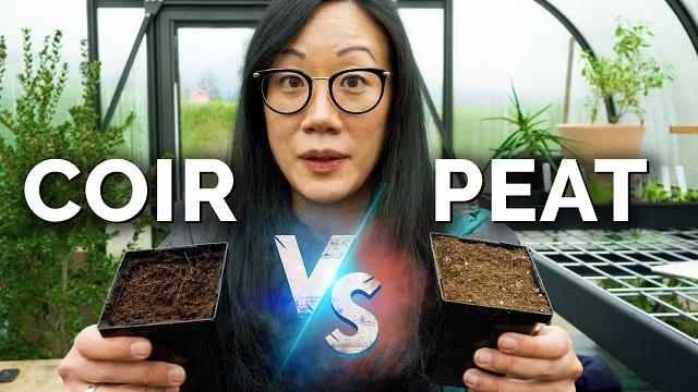 Peat moss vs. coconut coir: are they both bad? Peat moss vs. coconut coir: are they both bad?