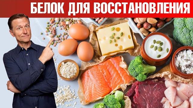 Лучший белок для восстановления организма Лучший белок для восстановления организма
