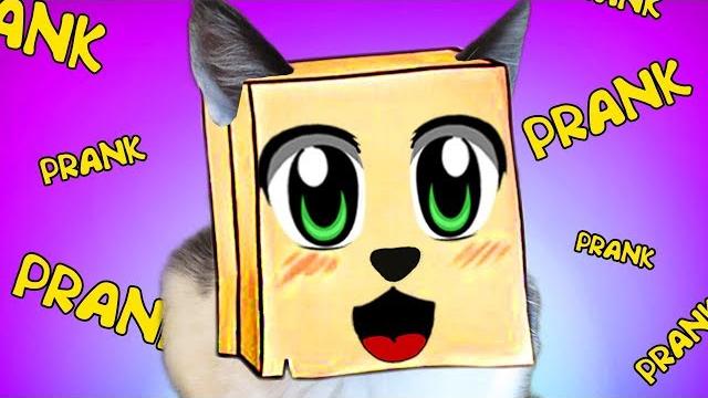 Самые смешные приколы с котами малышом и муркой! смешные игры! новые новогодние развлечения с котами Самые смешные приколы с котами малышом и муркой! смешные игры! новые новогодние развлечения с котами