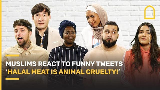 "halal meat is animal cruelty!" muslims react to funny tweets about islam | musconceptions ep. 6 "halal meat is animal cruelty!" muslims react to funny tweets about islam | musconceptions ep. 6