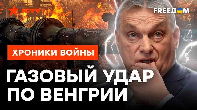 Киев приструнит будапешт почему орбану не оставят выбора Киев приструнит будапешт почему орбану не оставят выбора