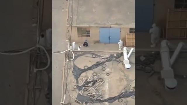 临沂白卫兵首创对居民动用杖刑 临沂白卫兵首创对居民动用杖刑