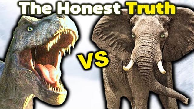 T.rex vs elephant - the honest truth T.rex vs elephant - the honest truth