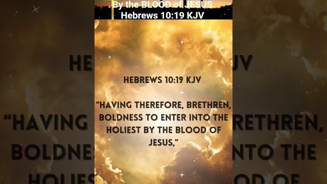 Boldness enter into the holiest by the blood of jesus hebrews 10:19 kjv #faith #thesavior Boldness enter into the holiest by the blood of jesus hebrews 10:19 kjv #faith #thesavior