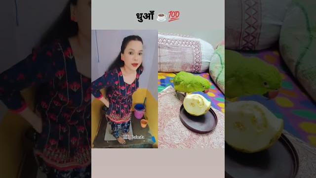 सर्दियों के मौसम में मैं ️| #susuprank #toilet | niche dekho niche | unbelievable charity सर्दियों के मौसम में मैं ️| #susuprank #toilet | niche dekho niche | unbelievable charity