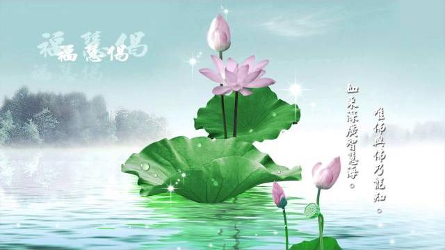 《福慧偈》喬安舞 《福慧偈》喬安舞