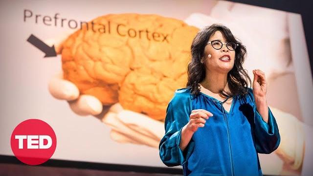 Wendy suzuki: the brain-changing benefits of exercise | ted Wendy suzuki: the brain-changing benefits of exercise | ted