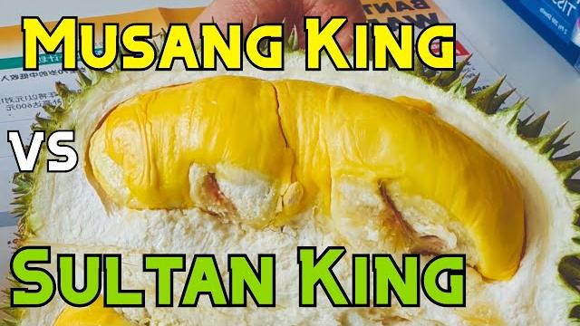 Will we get a refund? $20 sultan king vs spoilt $45 musang king in singapore local market Will we get a refund? $20 sultan king vs spoilt $45 musang king in singapore local market
