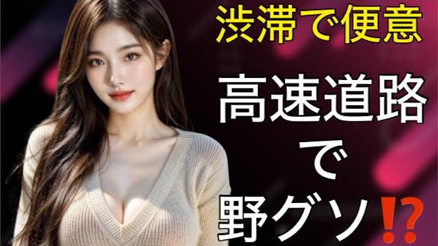 【ウ︎コ】渋滞中に便意を催した女子大生の話 女子トイレ 和式トイレ 【ウ︎コ】渋滞中に便意を催した女子大生の話 女子トイレ 和式トイレ
