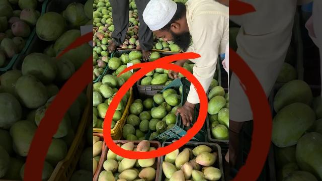 Kaveripattinam மல்கோவா malgoa mango live action 22/05/202.#mangovarieties #organicmango… Kaveripattinam மல்கோவா malgoa mango live action 22/05/202.#mangovarieties #organicmango…