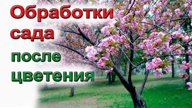 Схема обработки сада после цветения Схема обработки сада после цветения