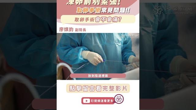 凍卵前別緊張! 取卵手術常見問題! 取卵手術會不會痛?|廖娸鈞醫師|禾馨宜蘊生殖中心 凍卵前別緊張! 取卵手術常見問題! 取卵手術會不會痛?|廖娸鈞醫師|禾馨宜蘊生殖中心