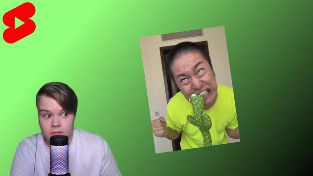 Каша смотрит ютуб шортс #3 Каша смотрит ютуб шортс #3
