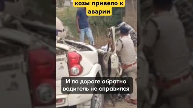 Пьянство и жертвоприношения #василийшуров #психиатр Пьянство и жертвоприношения #василийшуров #психиатр
